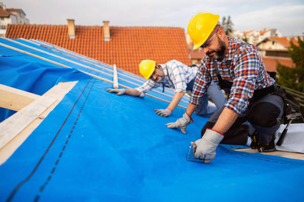 Best Gutter Installation and Roofing  in Martinez, GA
